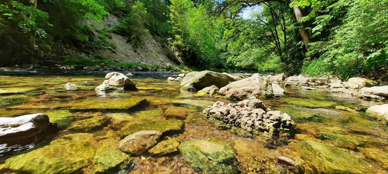 Ferienwohnung Seelust Schluchsee Buitenkant foto