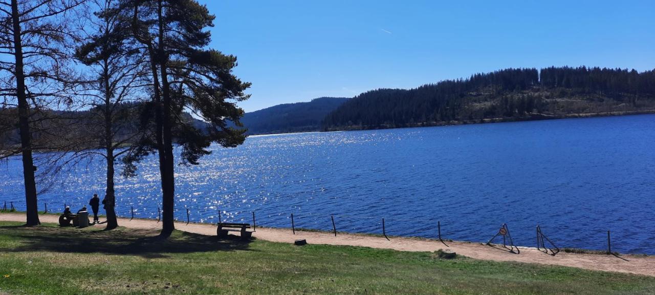 Ferienwohnung Seelust Schluchsee Buitenkant foto
