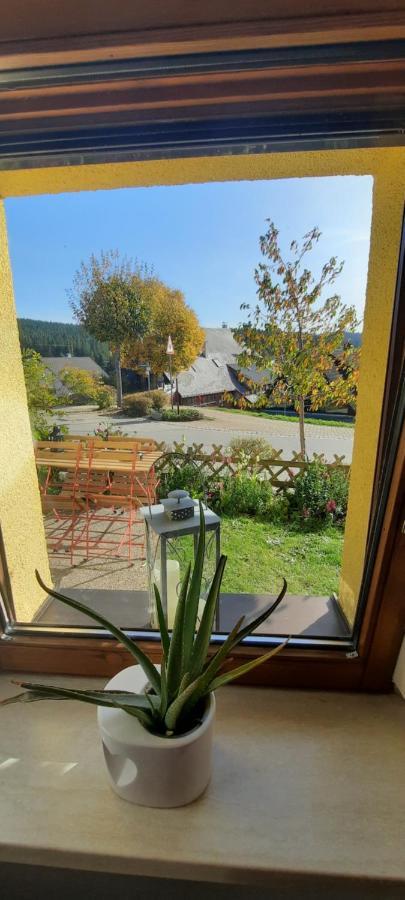 Ferienwohnung Seelust Schluchsee Buitenkant foto